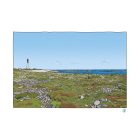 illustrations originales Bretagne - œuvres d’art Bretagne - illustration originale bord de mer - Phare de Goulenez, île de Sein - Fine art - Tyvart